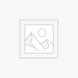 عنصر نائب Placeholder